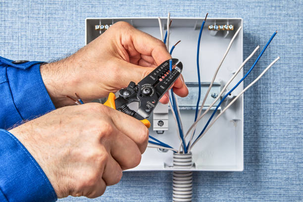 Professional Electricals in Inverness Highlands South, FL